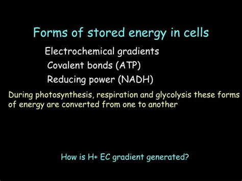 Ppt Forms Of Stored Energy In Cells Powerpoint Presentation Free