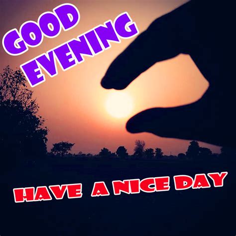 Good Evening Whatsapp Hd Photo Free Download For Friends Good Morning