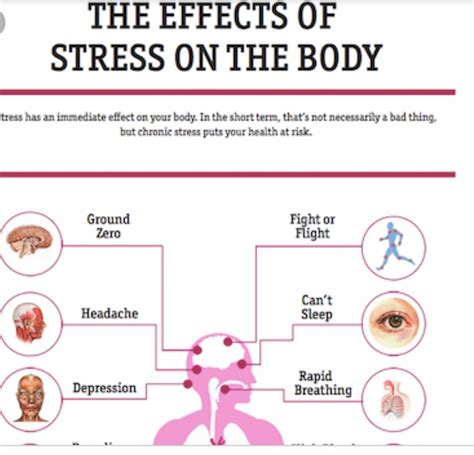 Stress Effects On Body