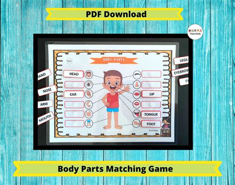 Body Parts Matching Game Printable Activity Kids Homeschool Etsy