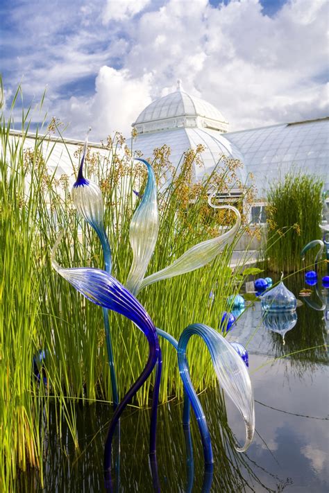 Get big discounts with 50 new york botanical garden coupons for june 2021, including 20 promo codes & deals. Dale Chihuly At The New York Botanical Garden - All The ...
