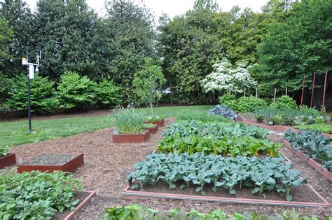 Co Horts The Lasting Legacy Of A Garden