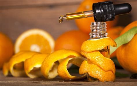Incredible Benefits Of Orange Peel For Health Fruit And Food