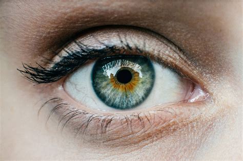 First Human Clinical Trials Involving A Bionic Eye Set To Begin