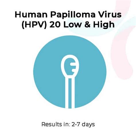 Medical Diagnosis Human Papilloma Virus HPV 20 Low High Risk Subtypes
