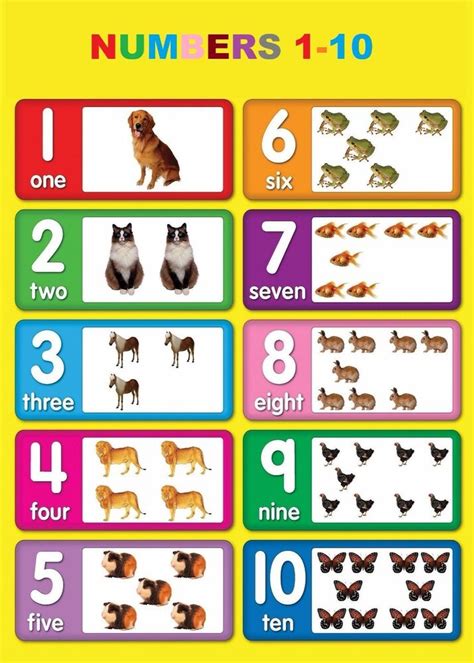 Free playlearning™ content curated by the lingokids educators team. NUMBERS 1 - 10 CHILDREN KIDS EDUCATIONAL POSTER CHART A4 ...