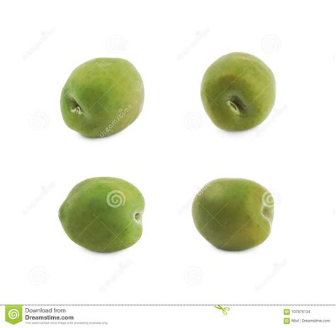 Single Green Olive Isolated Stock Photo Image Of Plant Natural