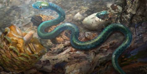 First Fossilized Snake Embryo Ever Discovered Rewrites History Of