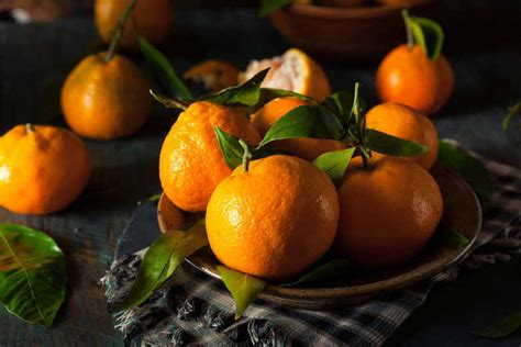 Satsuma Oil: Nature's Secret For Ultimate Health, Skin, And Hair Benefits