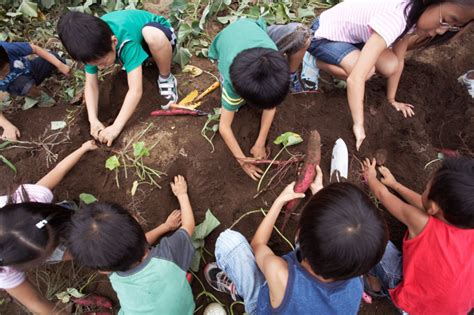 Cinco Consejos Para Enseñar Solidaridad A Los Niños