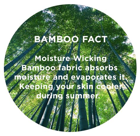 Bamboo Clothing Facts Tgb Fashion Bamboo Clothing Bamboo Facts