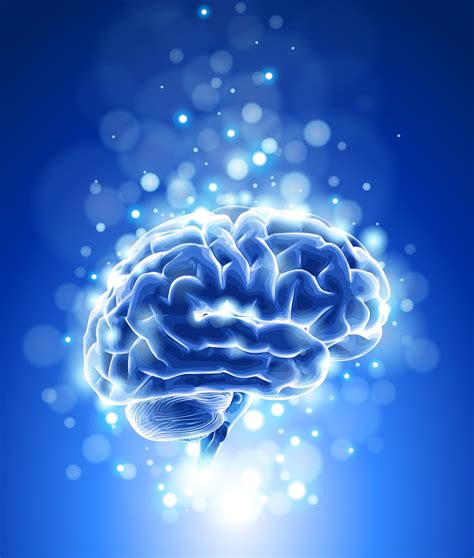 Brain And Blue Bokeh Abstract Light Background Vector Illustration