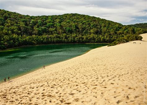 Fraser Island Tour Sand Dunes Rainforests And Beaches
