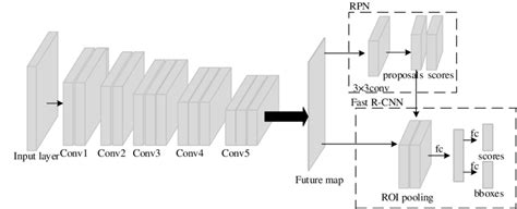 The Structure Of The Faster R Cnn Download Scientific Diagram