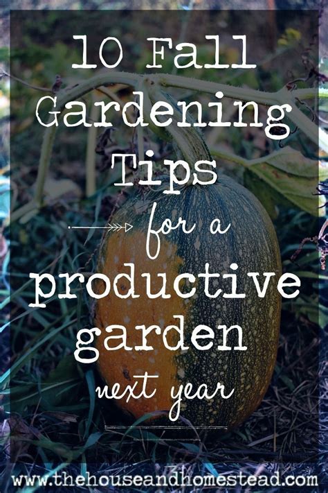 10 Fall Gardening Tips For A Productive Garden Next Year The House