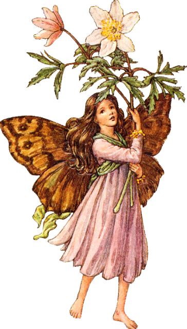 Cicely Mary Barker Fairy Images Fairy Pictures Png Images Free
