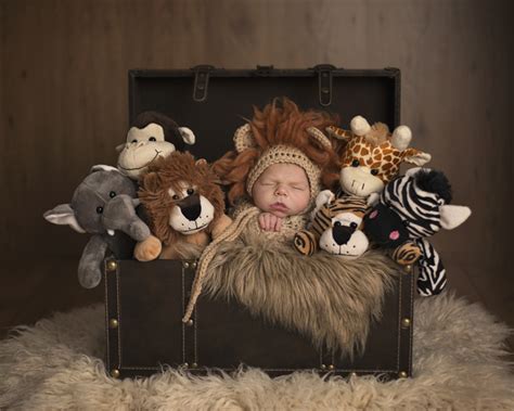 Diy handicraft decoration homemade hobby tinker tinkered easter advent calendar. Baby Lion Bonnet / Unisex Newborn Photography Prop / Baby Boy Prop | SheriRose on Madeit