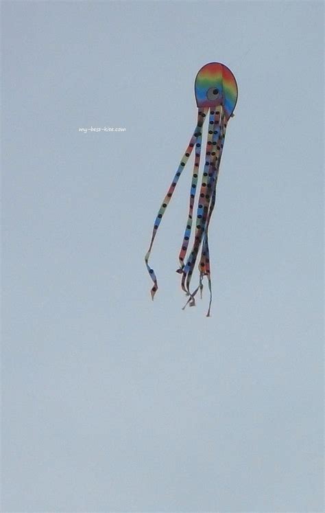 Flat Or Bowed Kites A Simple Octopus Kite Design With Contrasting