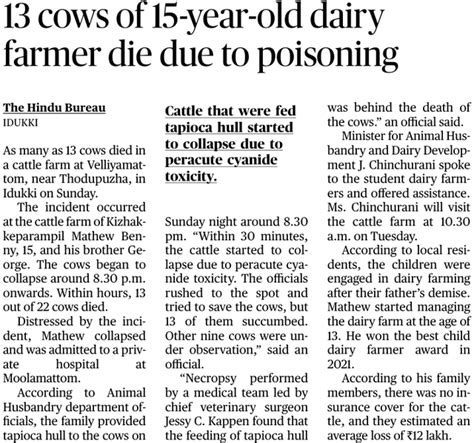 Thirteen Cows Of 15 Year Old Dairy Farmer Die Due To Cyanide Poisoning
