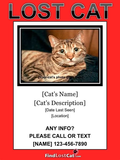 Printable Lost Cat Poster Template