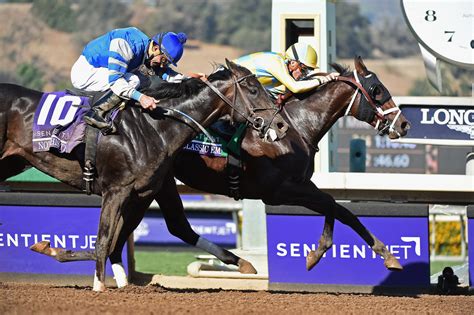 The channels will conduct the coverage throughout the day. What time is the Kentucky Derby? - LA Times