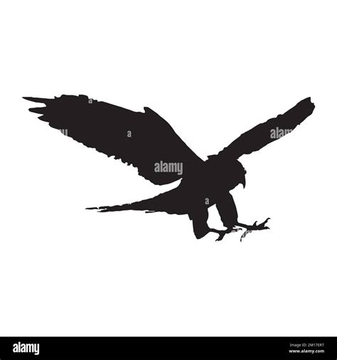 Vector Illustration Of Falcon Silhouette Art Stock Vector Image And Art