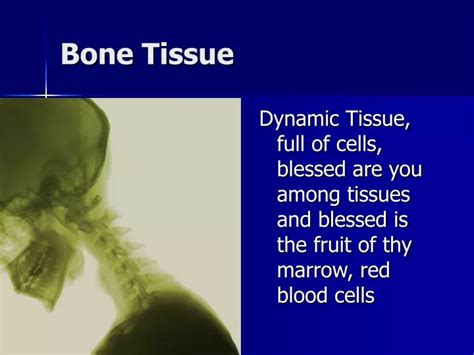 Ppt Bone Tissue Powerpoint Presentation Free Download Id9433642