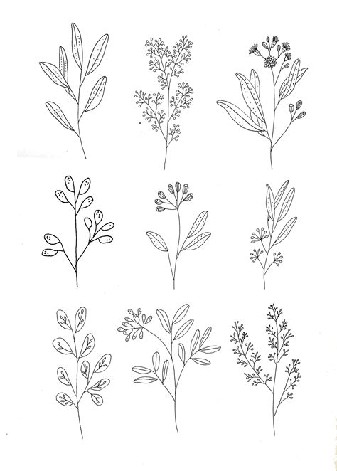 Botanics by Ryn Frank www.rynfrank.co.uk … | Flower doodles Once an individual has completed basic floral art 1 then he or she may attend any program offered by the.