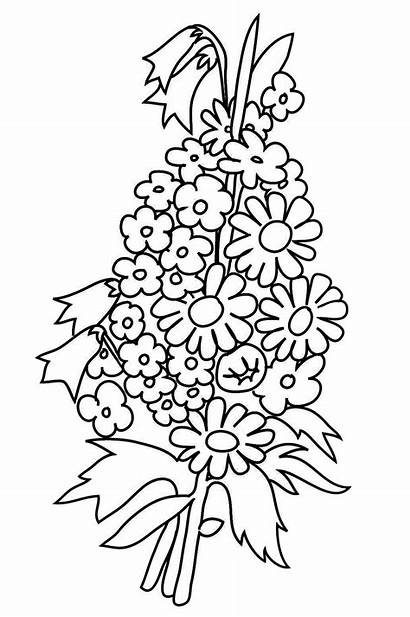 Coloring Flower Pages Bouquet Flowers Forget Drawing