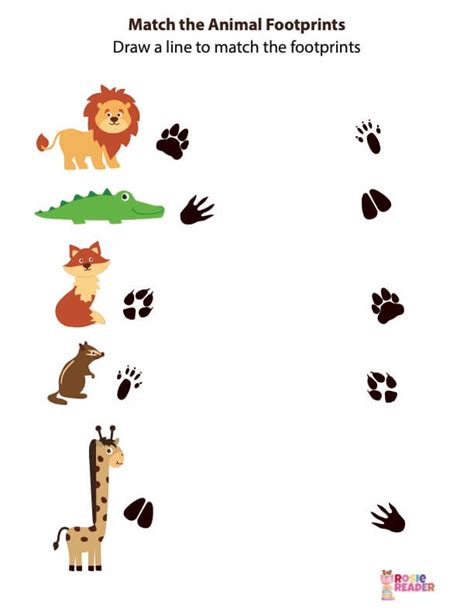 Match Animal Footprints Reading Adventures For Kids Ages 3 To 5