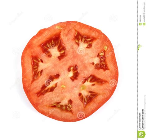 Overhead View Tomato Stock Photo Image Of Seed Home 14542864