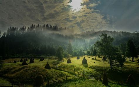 Hd Wallpaper Green Field With Trees Nature Hills Mist Landscape
