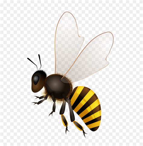 Pics For Gt Honey Bee Drawing Clip Art Honey Bee Landing Working Bee