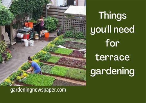Things Youll Need For Terrace Gardening In Beginner Intermediate And