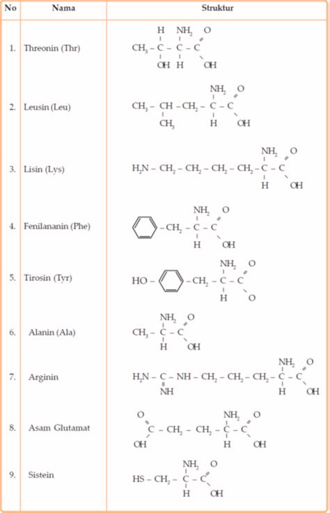 Asam Amino Protein Biology Page