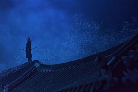 Tragedy, betrayal, and a mysterious discovery fuel a woman's vengeance for the loss of her tribe and family in this special episode of kingdom. source: First Looks At Netflix's Kingdom: Ashin Of The North Spin ...