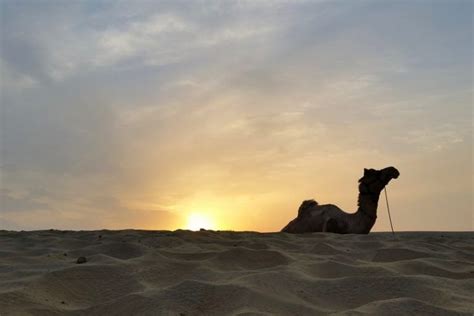What better way to explore the desert than on the back of an animal that has for aeons been associated with these immense tracts of sand? Backpacking Rajasthan itinerary: 2 weeks in Rajasthan ...