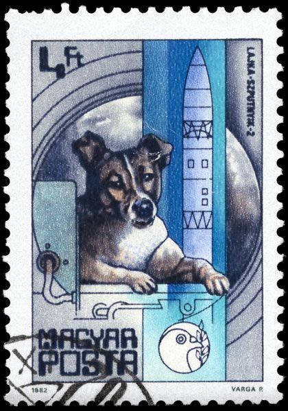 Remembering Laika The First Dog In Space The Article
