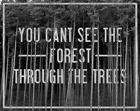 You Cant See The Forest Through The Trees Inspirational Quotes