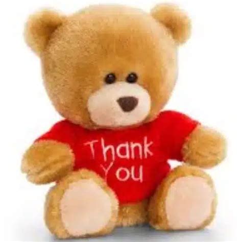 Pippin Thank You Teddy Bear Personalised Bears By Bears4u