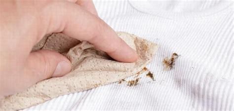 How To Remove Mold From Clothes Get Mold Out Of Clothing Black Mold