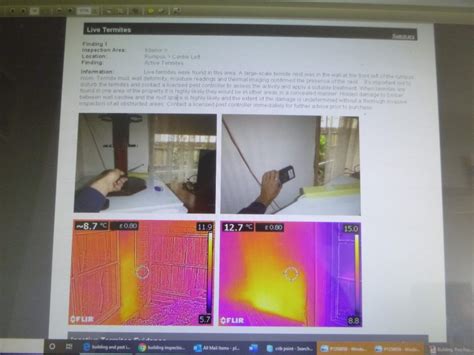 Pest inspections included with every building inspection. Termite Nest Mornington Peninsula - Building Inspections ...