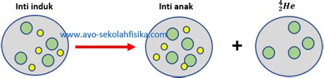 Peluruhan Radioaktif Biology Page