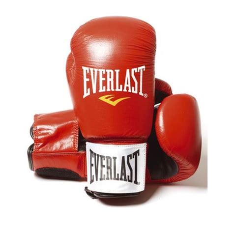 Everlast 14oz Red Leather Boxing Gloves Günstig