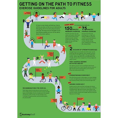 Exercise Guidelines For Adults Poster Fitness Posters