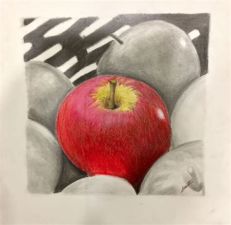 Color Pencil Graphite Project Done With My Adults Students Colored