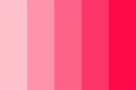 Princess Pink Color Palette Colorpalettes Colorschemes Design