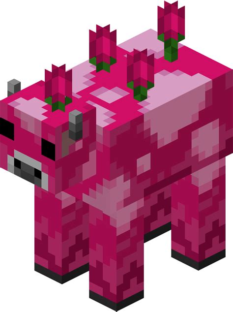 Pink Moobloom Minecraft Wiki