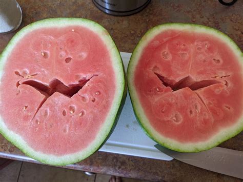 This Watermelon Is Split Inside Mildlyinteresting