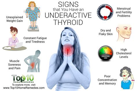 The thyroid glands lie on the underside of throat, just below the larynx or adam's apple. 10 Signs and Symptoms that You Have an Underactive Thyroid ...